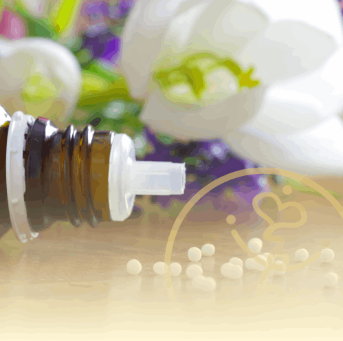 Homöopathie Erfurt Daniela Koch